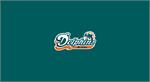 Miami Dolphins Pool Table Felt
