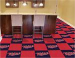 Minnesota Twins Carpet Tile Set