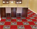 Tampa Bay Buccaneers 20 Piece Carpet Tile Set