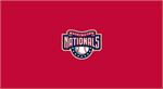 Washington Nationals Pool Table Felt