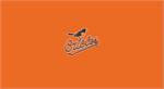 Baltimore Orioles Pool Table Felt