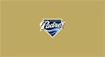 San Diego Padres Pool Table Felt