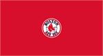 Boston Red Sox Pool Table Felt